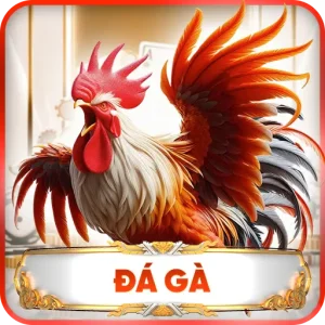 Đá Gà 789WIN – Những Trận Đấu Đỉnh Cao Dành Cho Người Đam Mê Chọi Kê